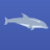 Delfín olympionik